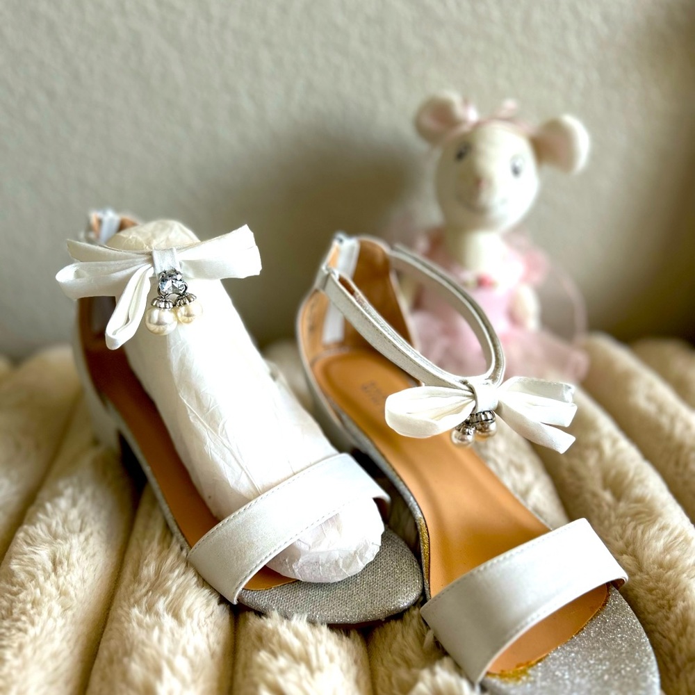 Brand new Badgley Mischka dress up shoes.